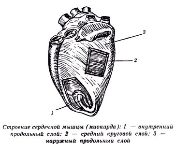 Секреты гирудотерапии - i_045.jpg