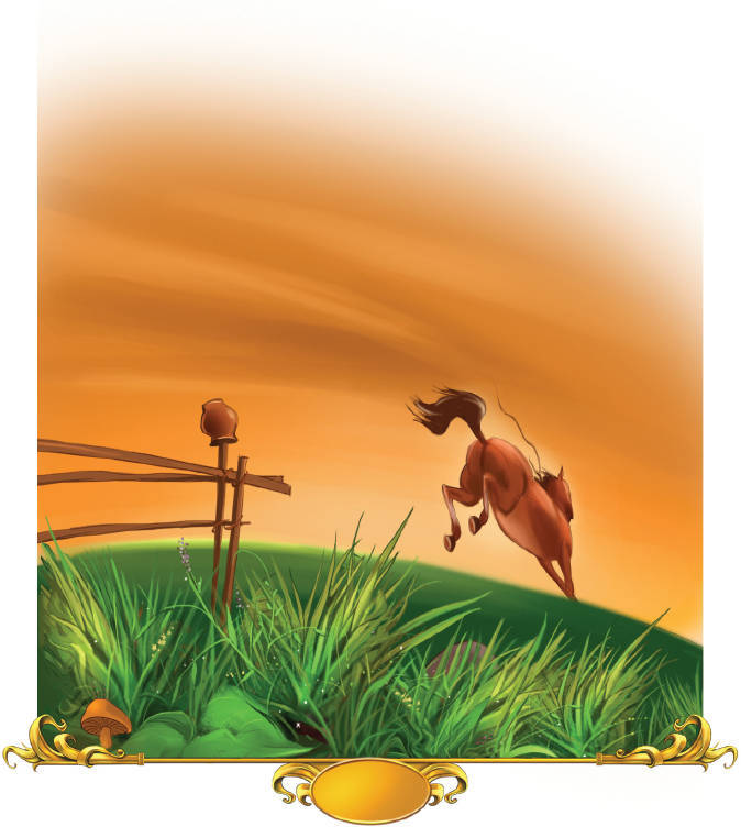 Тайна заколдованного леса - i_028.jpg