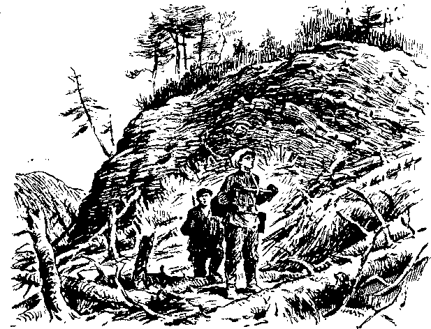 По страницам каменных летописей - i_003.png