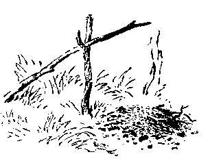 По страницам каменных летописей - i_004.png