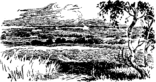 По страницам каменных летописей - i_005.png