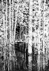 Обнаженная модель - i_035.jpg