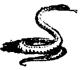 Засада на черной тропе - i_028.png