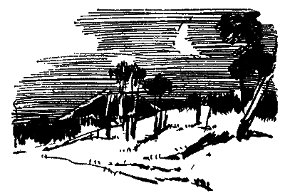 Засада на черной тропе - i_038.png