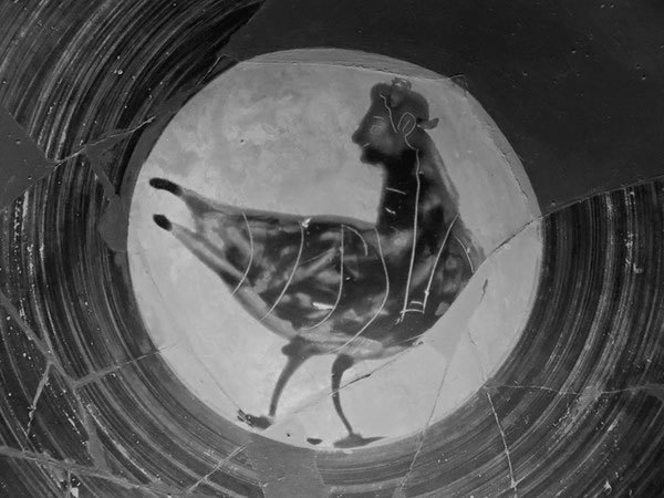 Время гарпий - i_026.jpg