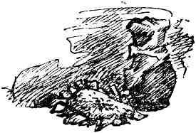 В поисках синекуры - img_2.jpg