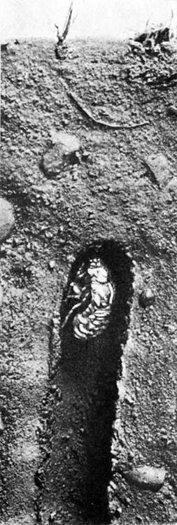 Фабр - i_024.jpg