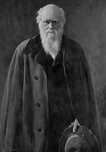 Фабр - i_038.jpg