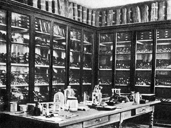 Фабр - i_041.jpg