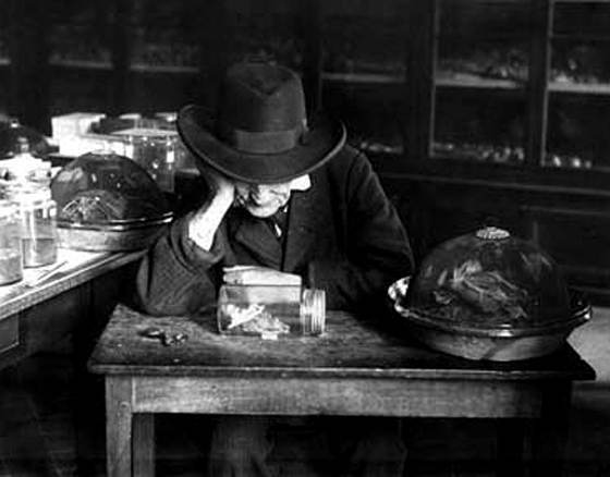 Фабр - i_043.jpg