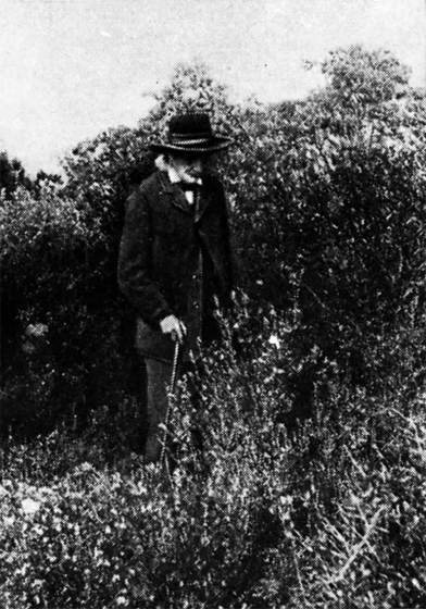 Фабр - i_056.jpg