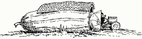 Приключенията на Незнайко - i_103.png