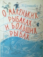  Цеханов Юрий Владиславович - О маленьких рыбаках и больших рыбах