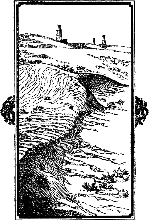 Пустыня как она есть - i_002.png