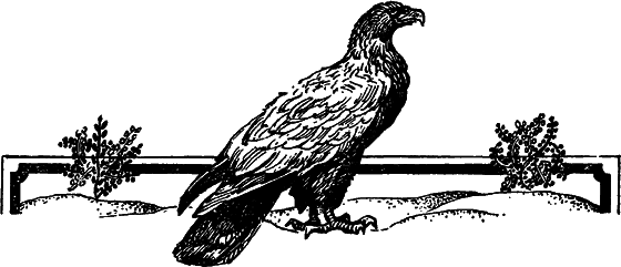 Пустыня как она есть - i_003.png