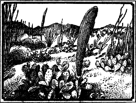 Пустыня как она есть - i_009.png