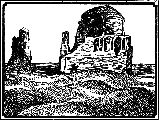 Пустыня как она есть - i_010.png