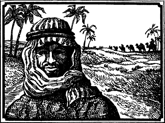 Пустыня как она есть - i_011.png