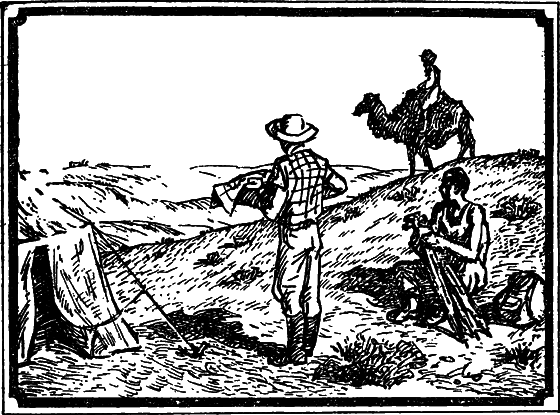 Пустыня как она есть - i_017.png