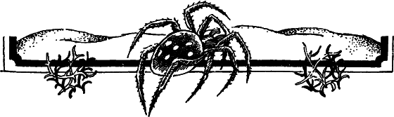 Пустыня как она есть - i_018.png