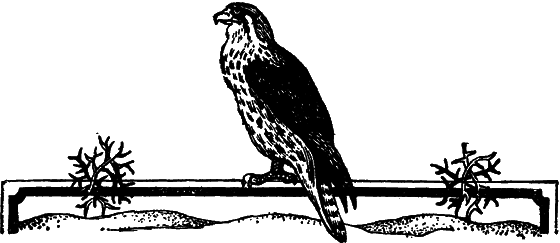 Пустыня как она есть - i_020.png