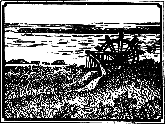 Пустыня как она есть - i_022.png