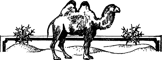 Пустыня как она есть - i_025.png