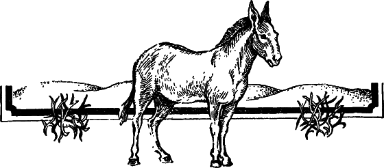 Пустыня как она есть - i_029.png