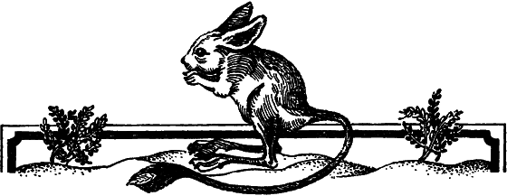 Пустыня как она есть - i_031.png