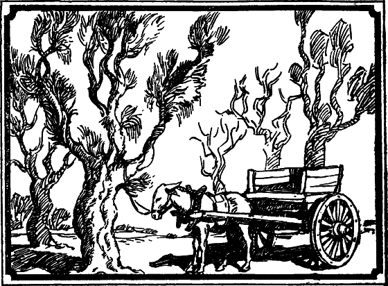 Пустыня как она есть - i_032.png