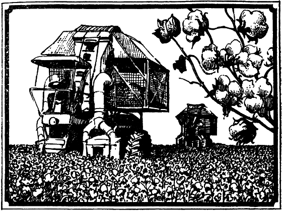 Пустыня как она есть - i_034.png