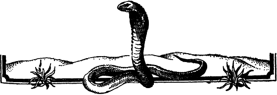 Пустыня как она есть - i_035.png