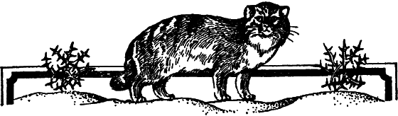 Пустыня как она есть - i_037.png