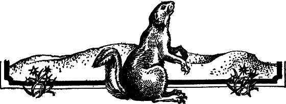 Пустыня как она есть - i_040.png