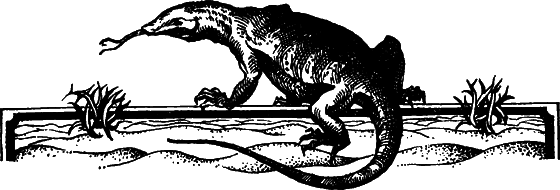 Пустыня как она есть - i_042.png