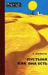  Бабаев Агаджан Гельдыевич - Пустыня как она есть