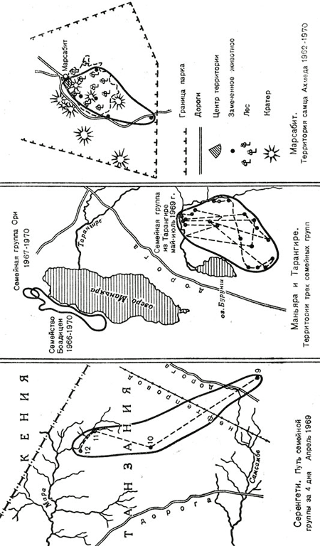 Жизнь среди слонов - i_010.png