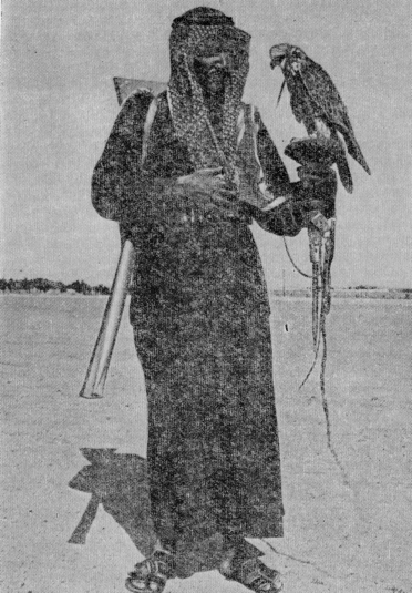 Три года в Кувейте - image33.png