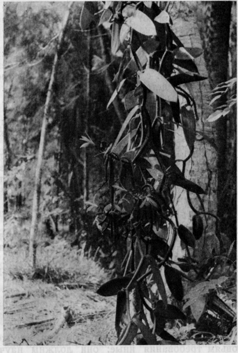 Осколки континента - image9.png