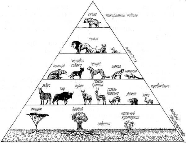 Африканский рай - fuentes0037.jpg