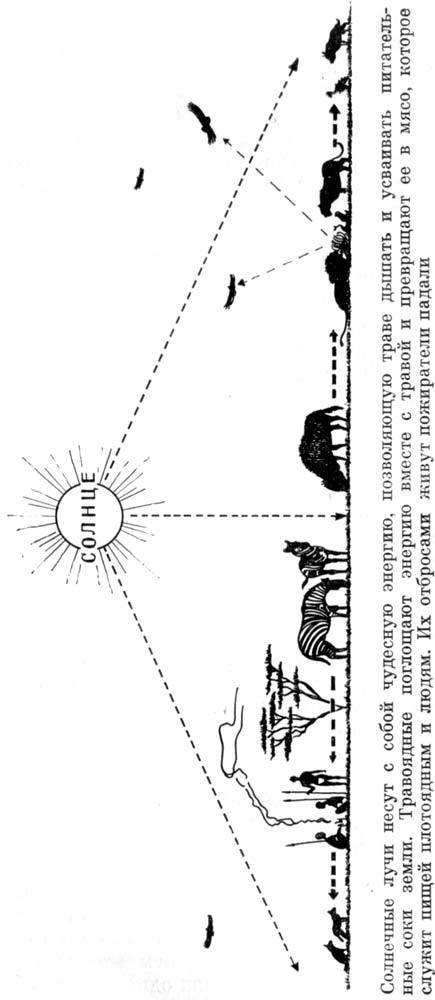 Африканский рай - fuentes0061.jpg