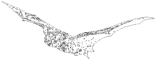 Чувства животных и человека - i_010.png