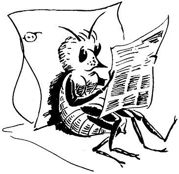 Не просто букашки - i_052.jpg