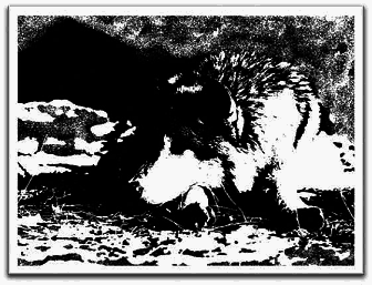 Полукровка - Any2FbImgLoader10