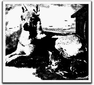 Полукровка - Any2FbImgLoader12