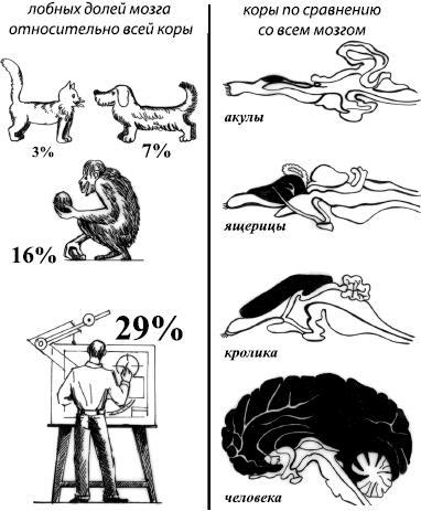 Занимательная психология - _06.png