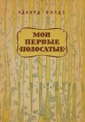Мои первые «полосатые» - автор Вильде Эдуард 
