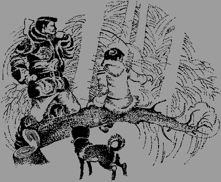 Антери, сын Лапландии - img11.png