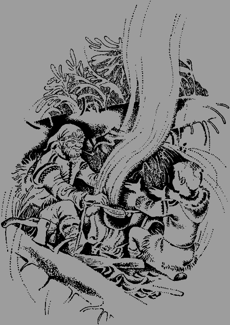 Антери, сын Лапландии - img13.png