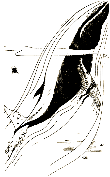 Путешествие на дно моря - i_024.png